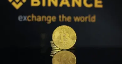 Binance Coin (BNB) image