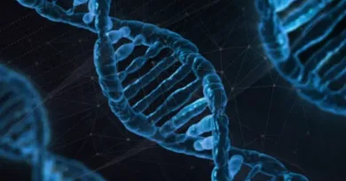 DNA Data Storage image