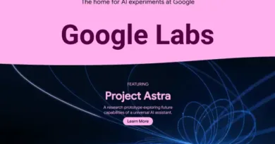 Google Labs image