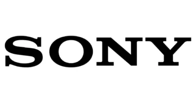 Sony fromsoftwares parent company