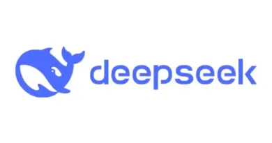 DeepSeek-R1 logo image