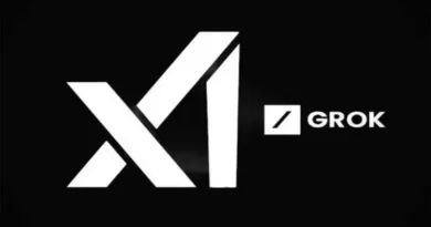 xAI Grok