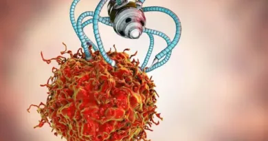Nano-Robots in Cancer Therapy